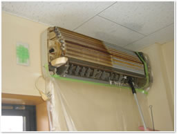 エアコンのバイオクリーニング写真5