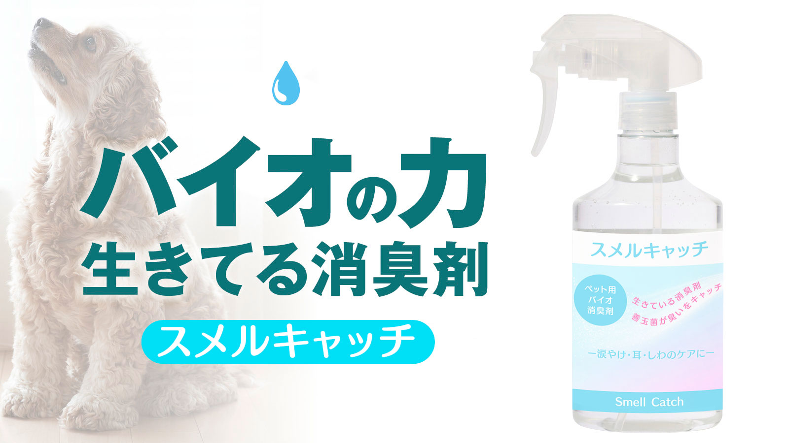 ペット用洗剤スメルキャッチ