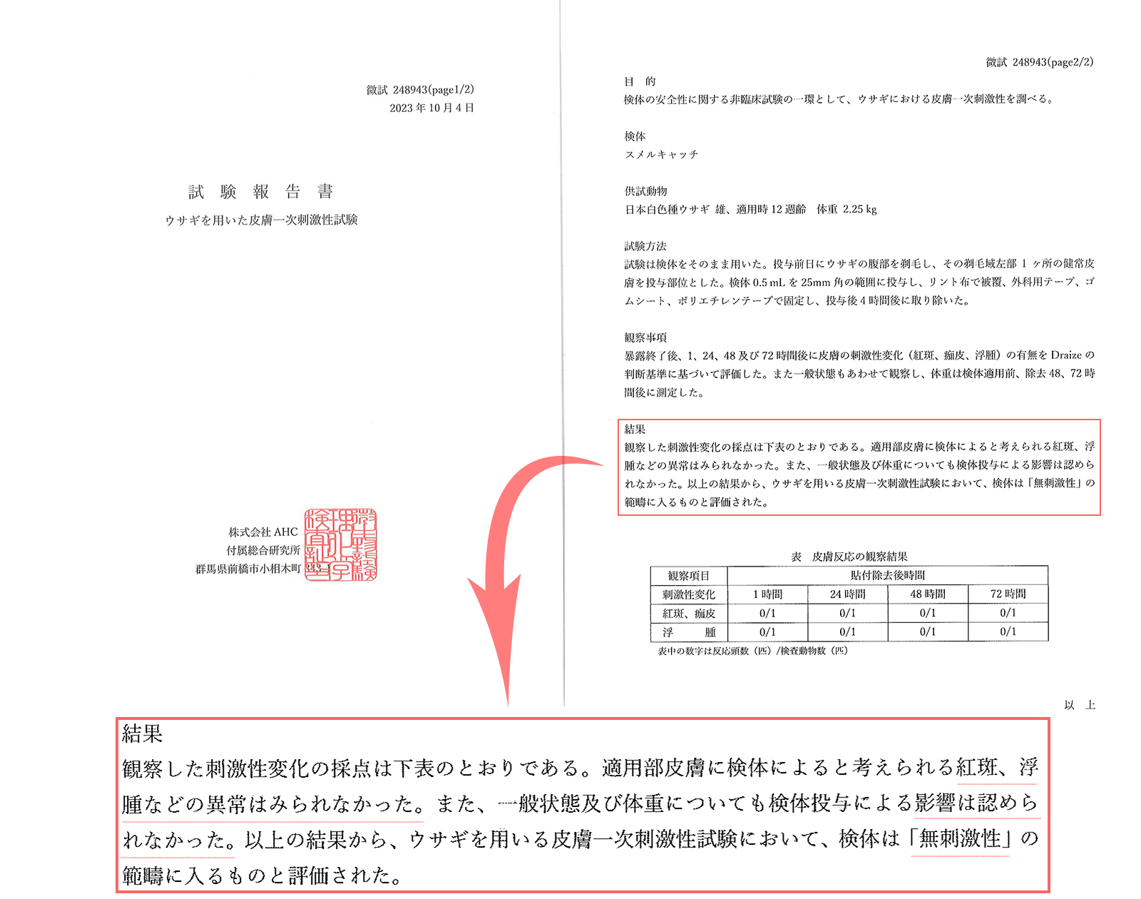 皮膚刺激性試験結果