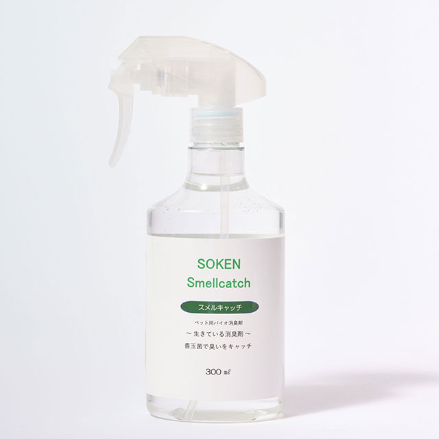 �y�b�g���L��300�~�����b�g��