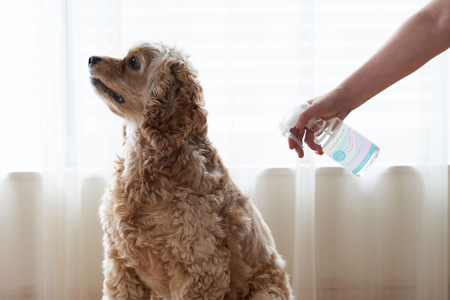 ペットに直接スプレー可
