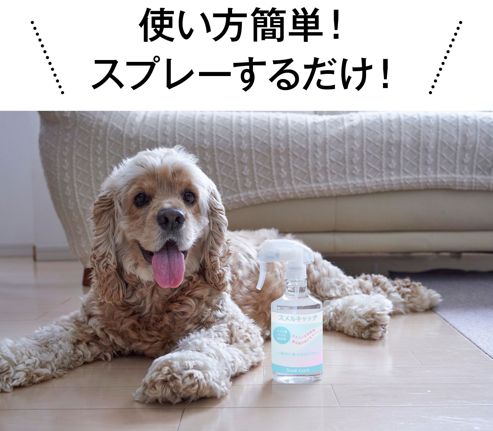 使い方簡単！スプレーするだけ
