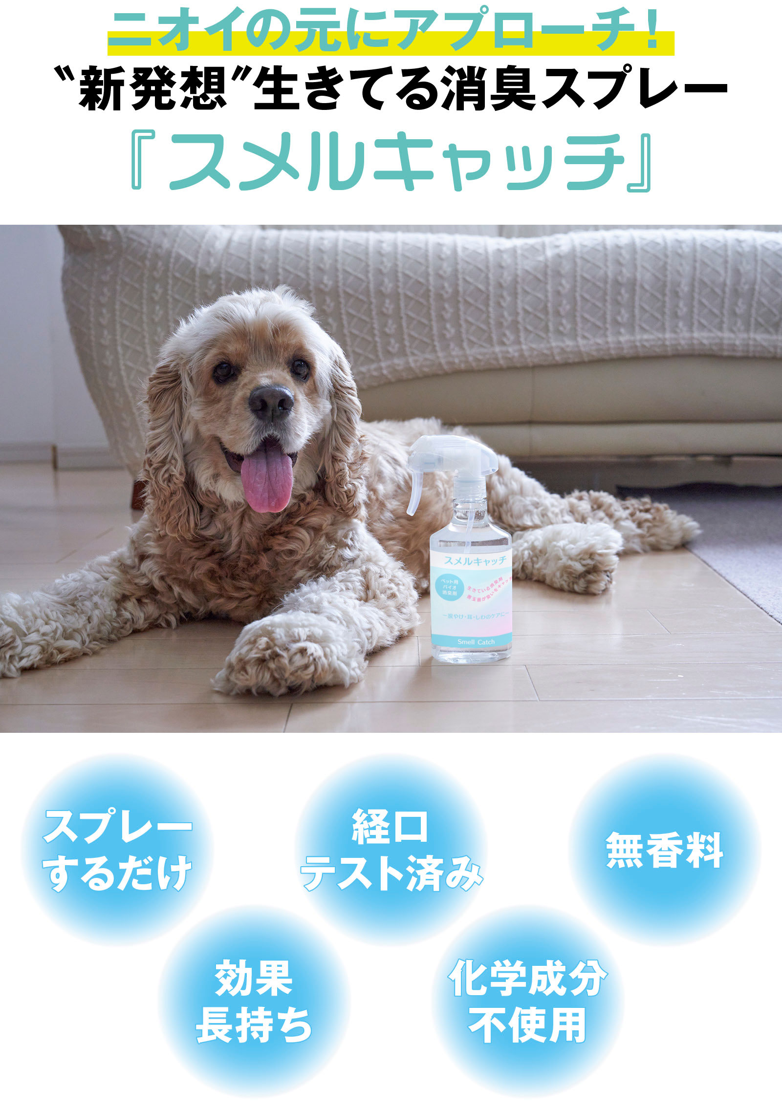 新発想！生きてる消臭スプレー「スメルキャッチ」